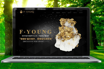 �ٲ׸������ﱦʯ